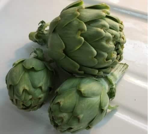 3 globe artichokes on a white tray