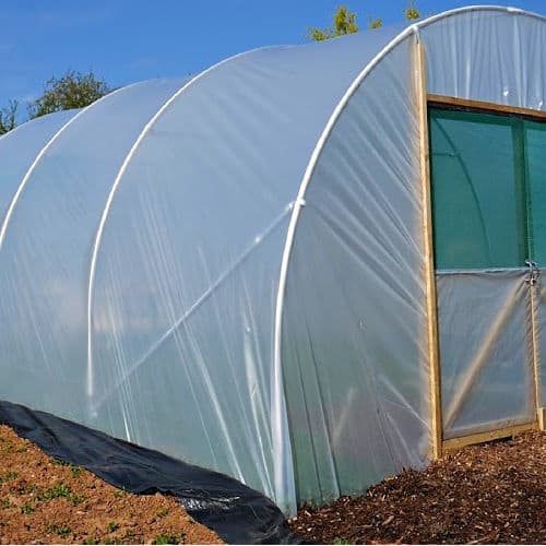 Polytunnel from Plants Direct