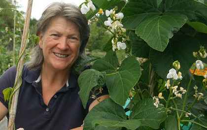 Saving seeds from the garden