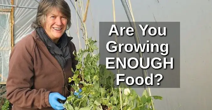 how much to grow for self sufficiency