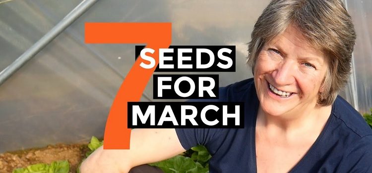 seeds to sow March