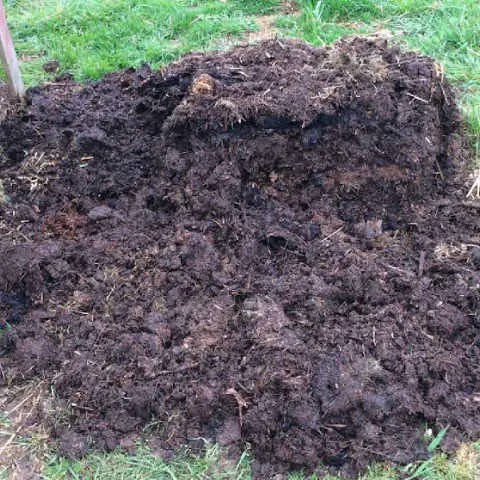How to Make Compost Fast at Home