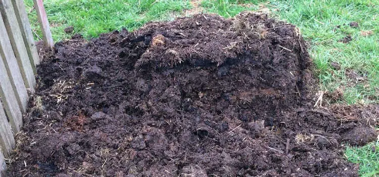 pile of compost ready to use in the garden