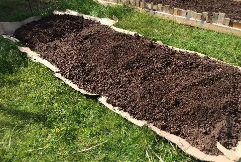 no dig garden bed