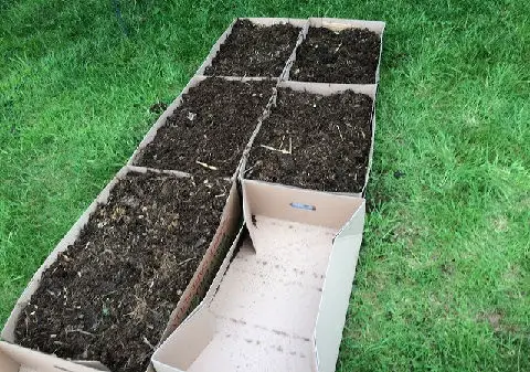 simple cardboard box raised bed