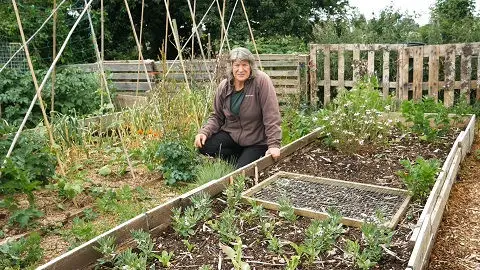 pallet collar raised bed