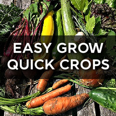 Fast growing crops guide