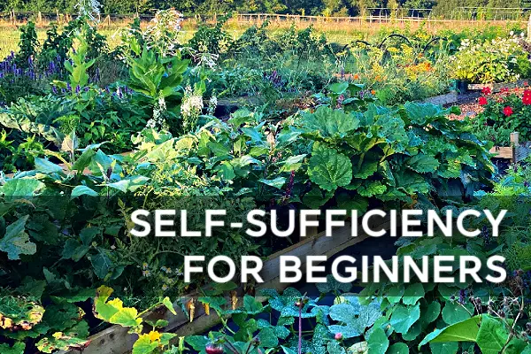 self sufficiency for beginners workshop