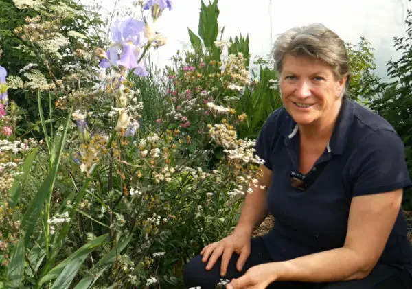 Varieties of cow parsley make good filler plants for flower border. Image shows herbaceous border and woman sitting next to it.