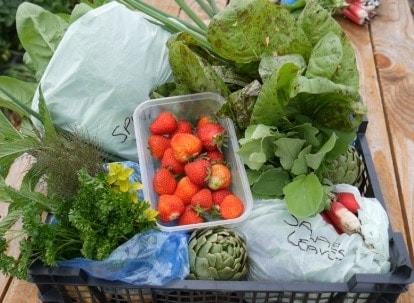 Vegetables and fruit in a plastic basket