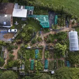 vegetable gardens from overhead