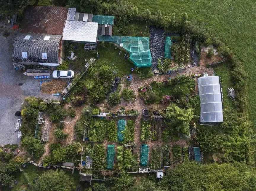 Overhead view of raised bed veg garden and market garden.