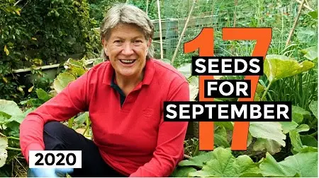 Seeds to Sow in September – resources list Seeds to Sow in September – resources list