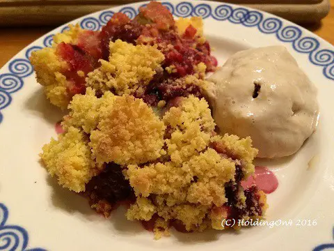 gluten free apple and berry crumble with homemade ice cream