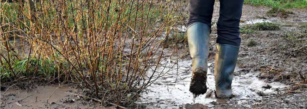 Books Bytherfarm Books Bytherfarm