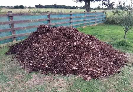 Wood chips for mulching