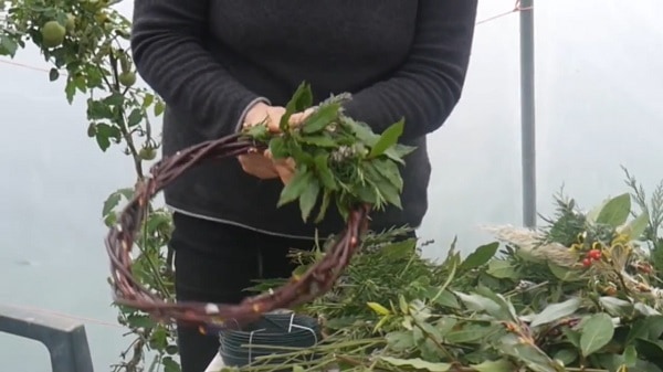 Covering the stems of foliage with the next bundle of leaves.