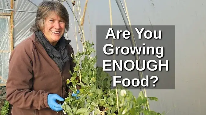 how much to grow for self sufficiency