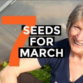 seeds to sow March