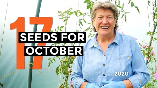 What Seeds To Sow In October Bytherfarm What Seeds To Sow In October Bytherfarm