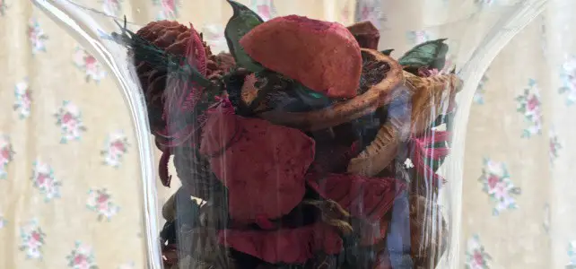 Store bought pot pourri displayed in a glass vase.