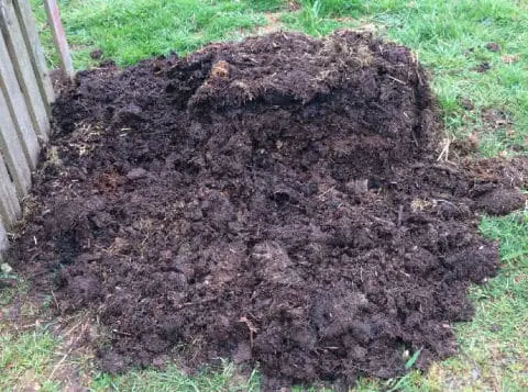 Dark brown compost in a heap that is ready to be used in the garden.