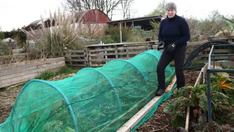 Completed low tunnel for homegrown cabbages