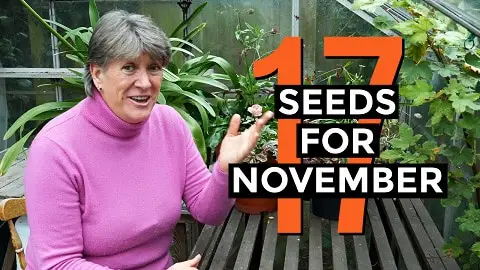 seeds for November