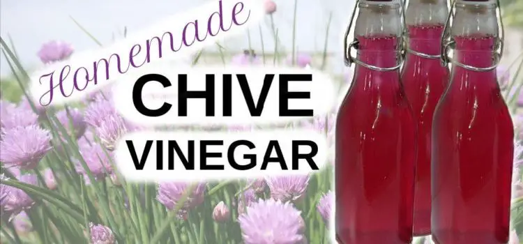how to make chive vinegar
