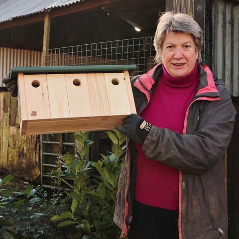 Row of nest boxes ideal for sparrows