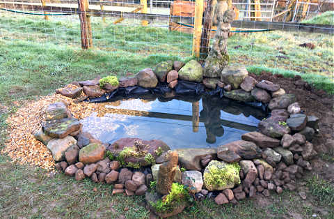 make a wildlife pond in the garden