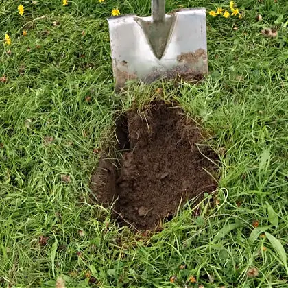 Digging soil using a spade