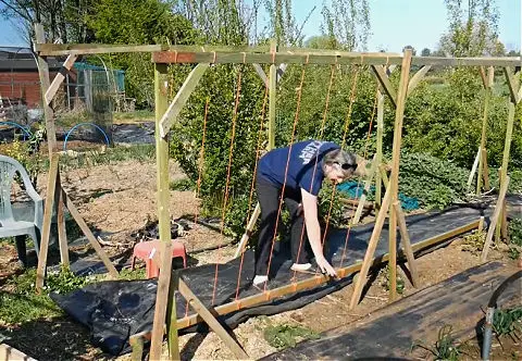 Attach strings to top and base support rails for climbing beans