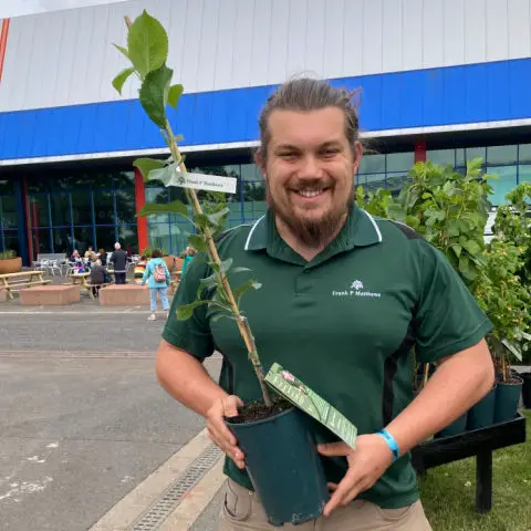 Man holding young apple tree in plant pot during a visit to Gardeners World Live