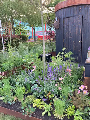 Flowers and foliage in a raised bed with outdoor bathroom in the background on Lunatica garden at Gardeners World Live