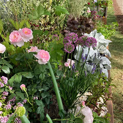 Scents and Sensibility Garden